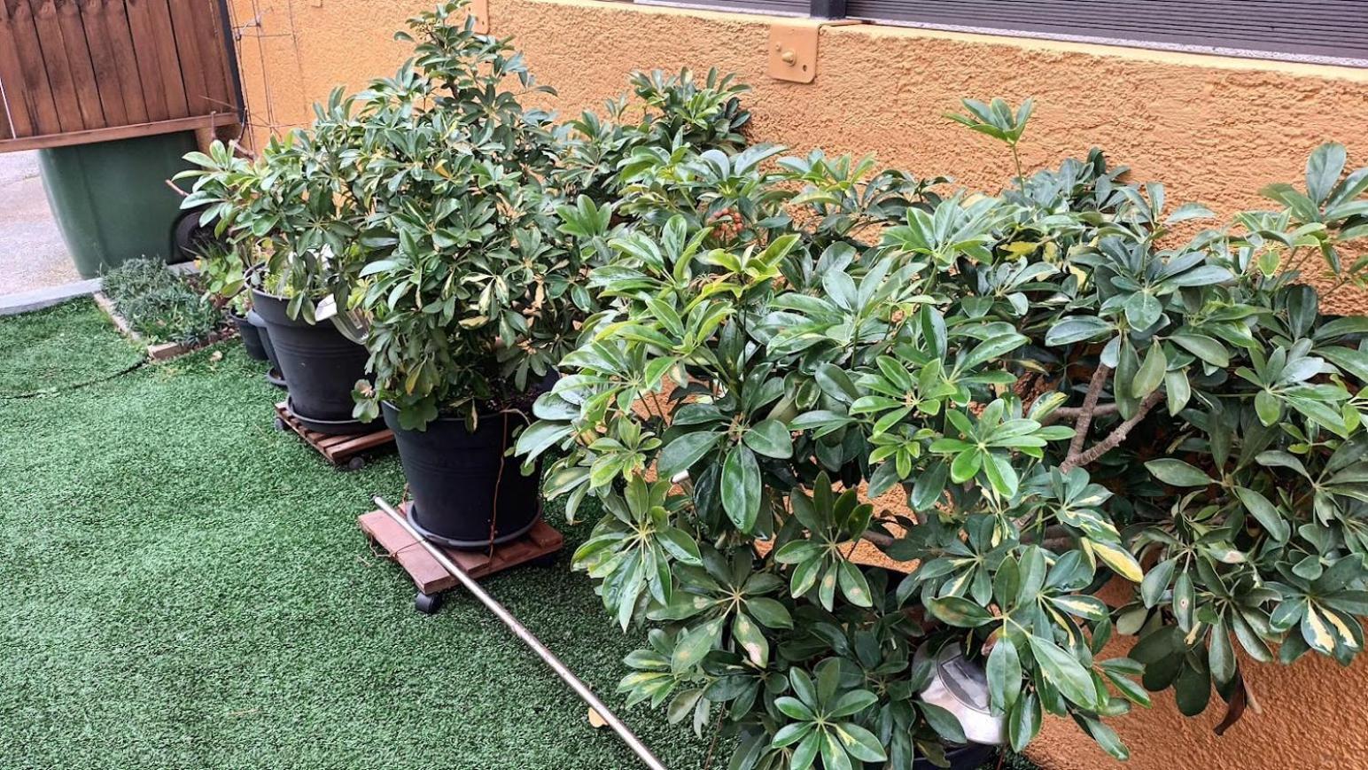 Apartman Sandra -Private Parking And Garden 扎达尔 外观 照片