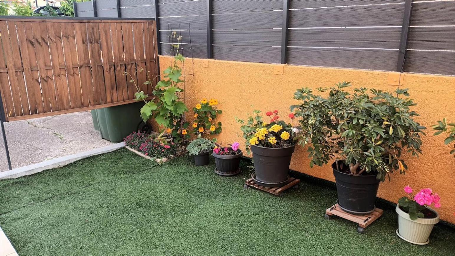 Apartman Sandra -Private Parking And Garden 扎达尔 外观 照片
